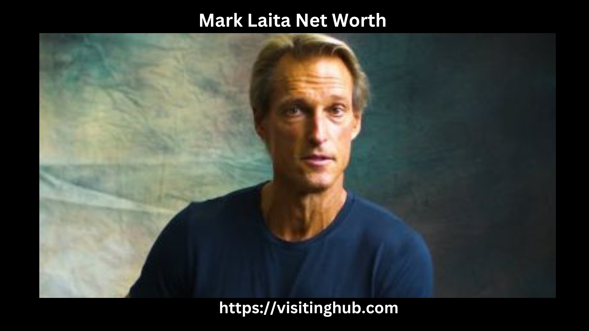 Mark Laita Net Worth