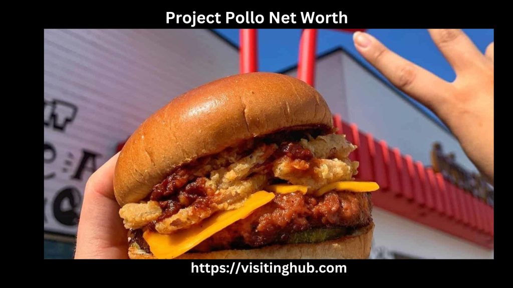 Project Pollo Net Worth