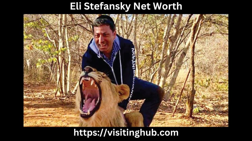 Eli Stefansky Net Worth