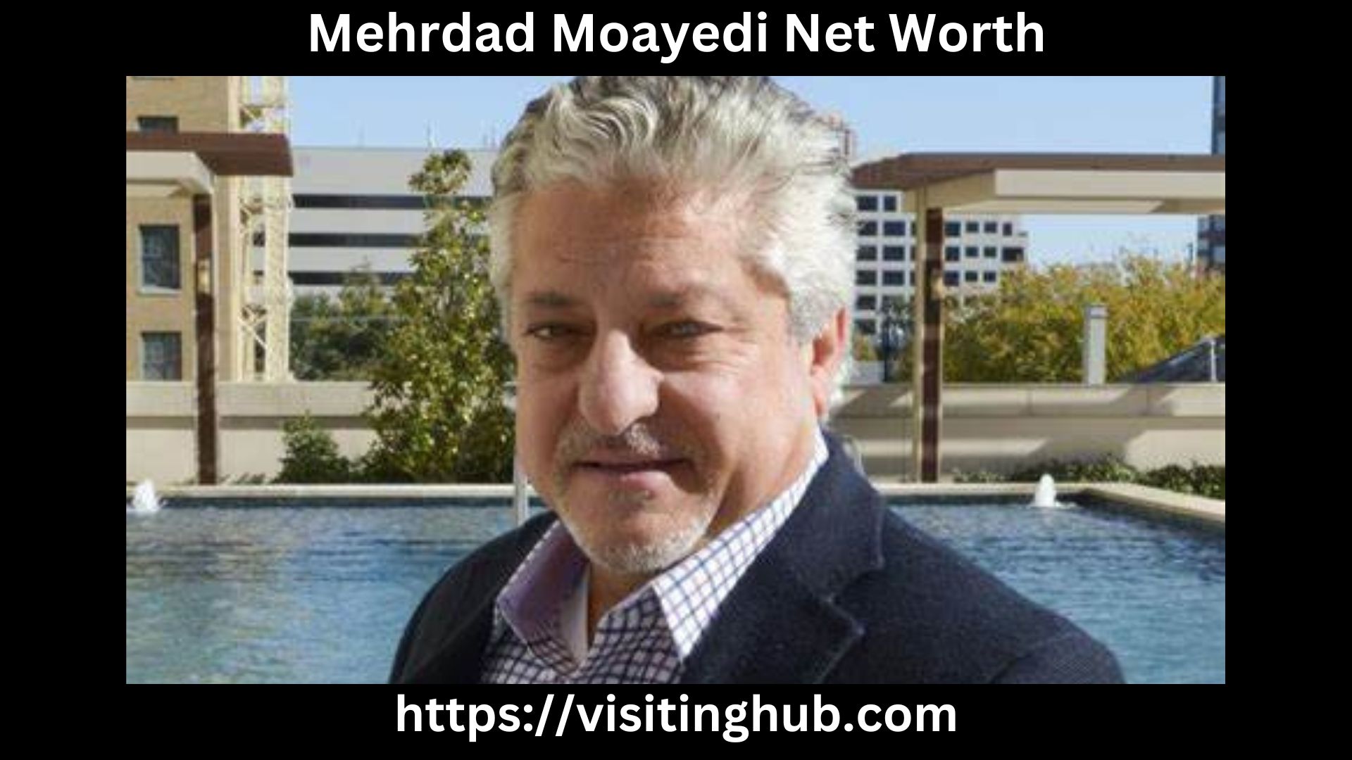 Mehrdad Moayedi Net Worth