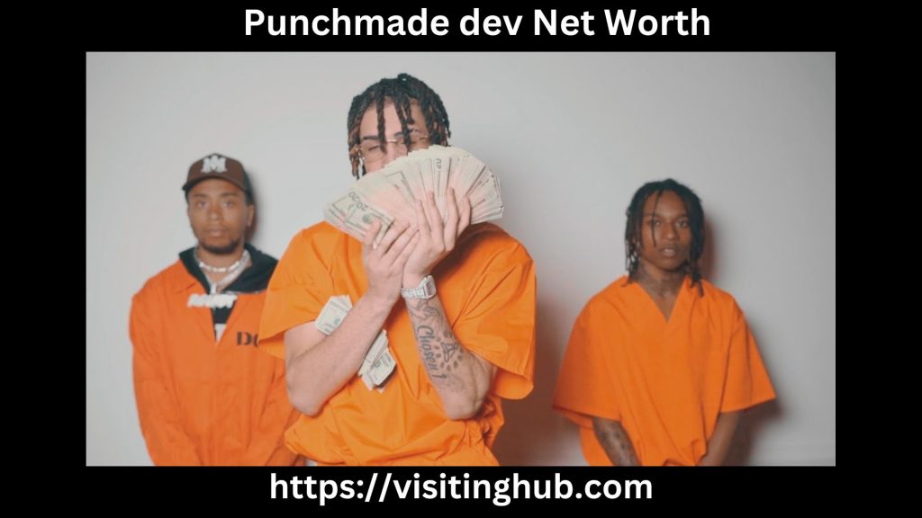 Punchmade dev Net Worth
