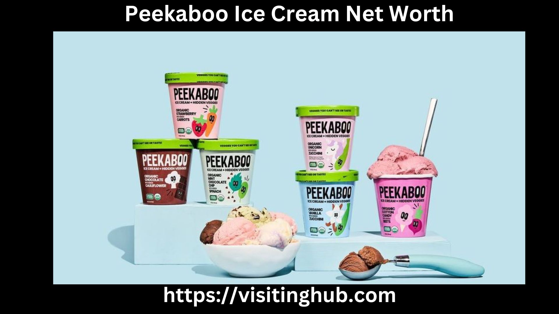 Peekaboo Ice Cream Net Worth