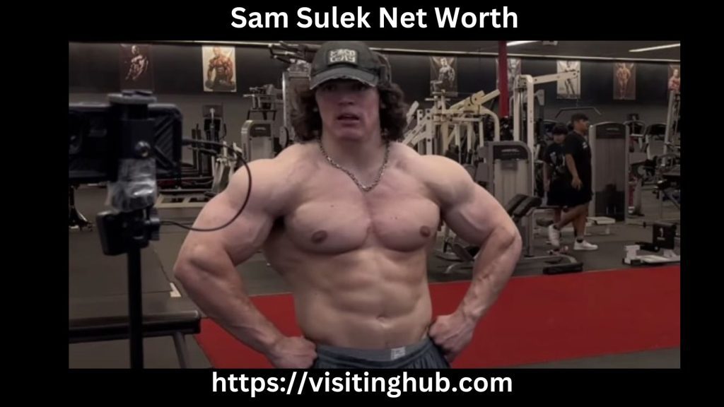 Sam Sulek Net Worth