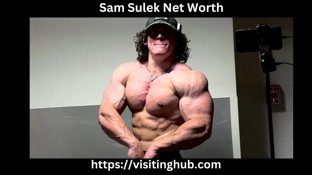 Sam Sulek Net Worth