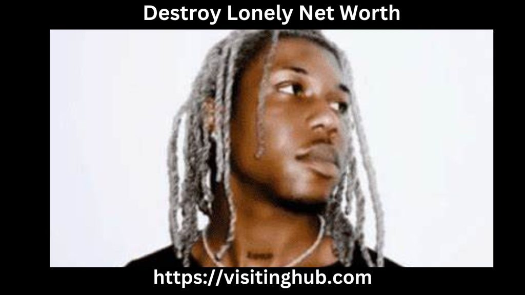 Destroy Lonely Net Worth